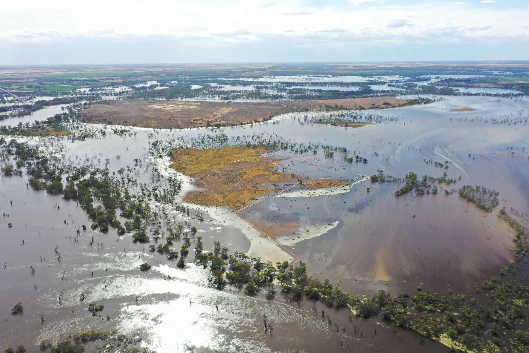 Aerial view River Murray flooding