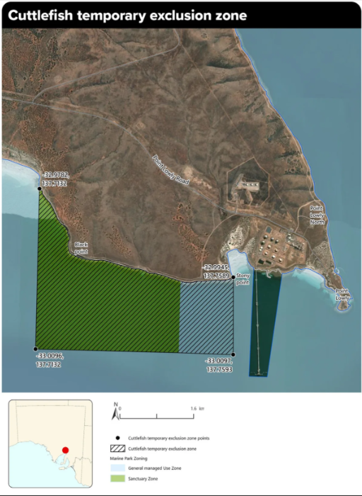 The image is a map titled &ldquo;Cuttlefish temporary exclusion zone&rdquo; showing a section of coastline near Point Lowly in South Australia. The map uses an aerial satellite view of the shoreline, surrounding land, and nearby marine waters.  Highlighted areas offshore are shaded with different patterns and colours to indicate management zones. A large green hatched area marks the temporary exclusion zone, while an adjacent grey hatched area marks another exclusion zone section. The map also identifies nearby landmarks including Black Point, Story Point, Point Lowly, and Point Lowly North. Coordinates marking the boundaries of the exclusion zones are shown at several points around the perimeter.  Land-based features include roads, coastal terrain, industrial infrastructure, and a jetty extending into the water near Point Lowly. A legend at the bottom explains the different zone types, including cuttlefish temporary exclusion zone areas, marine park sanctuary zones, and general managed use zones. An inset map of South Australia shows the location of the exclusion zone on the state's upper Spencer Gulf coastline. A north arrow and scale bar provide orientation and distance information.